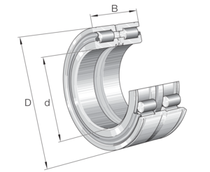 INA Bearing SL045016-D-PP