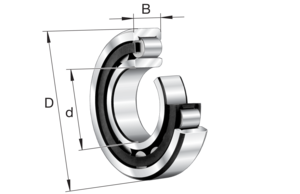 FAG Bearing NU1011-XL-M1