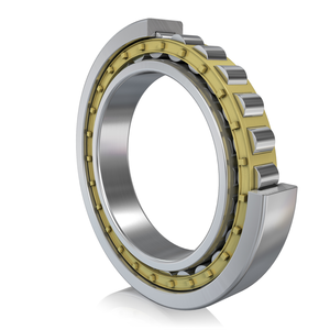 FAG Bearing NU256-E-TB-M1