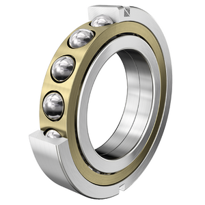 FAG Bearing QJ219-N2-MPA