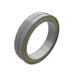 SKF Bearing NNCF 4876 CV